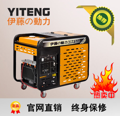 ����300A˫�ײ��͵纸��YT300EW