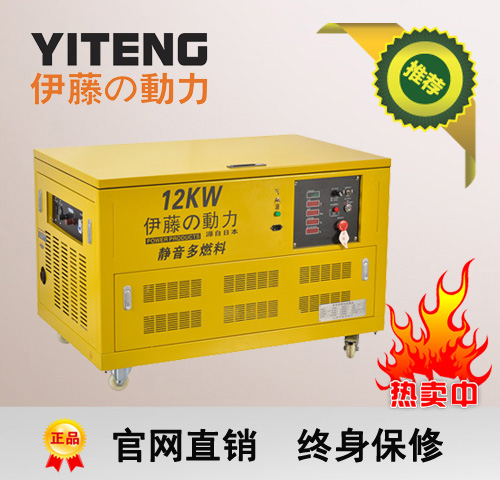 ����12kw�������ͷ����YT12RGF