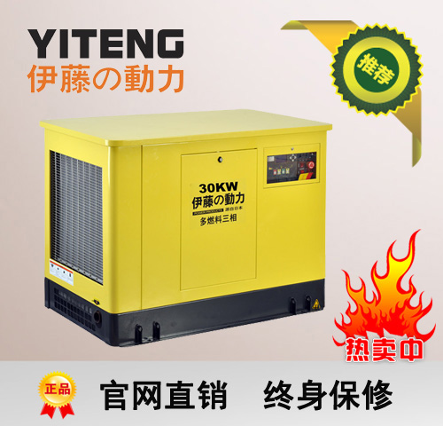 ���ٶ���30kw�������ͷ����YT30REP